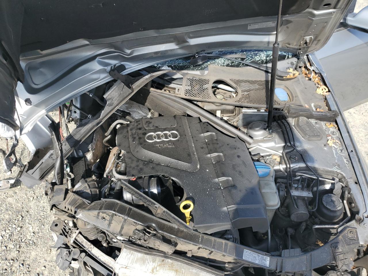 2010 Audi A4 Premium Plus VIN: WAUWFAFL4AA170094 Lot: 82604075