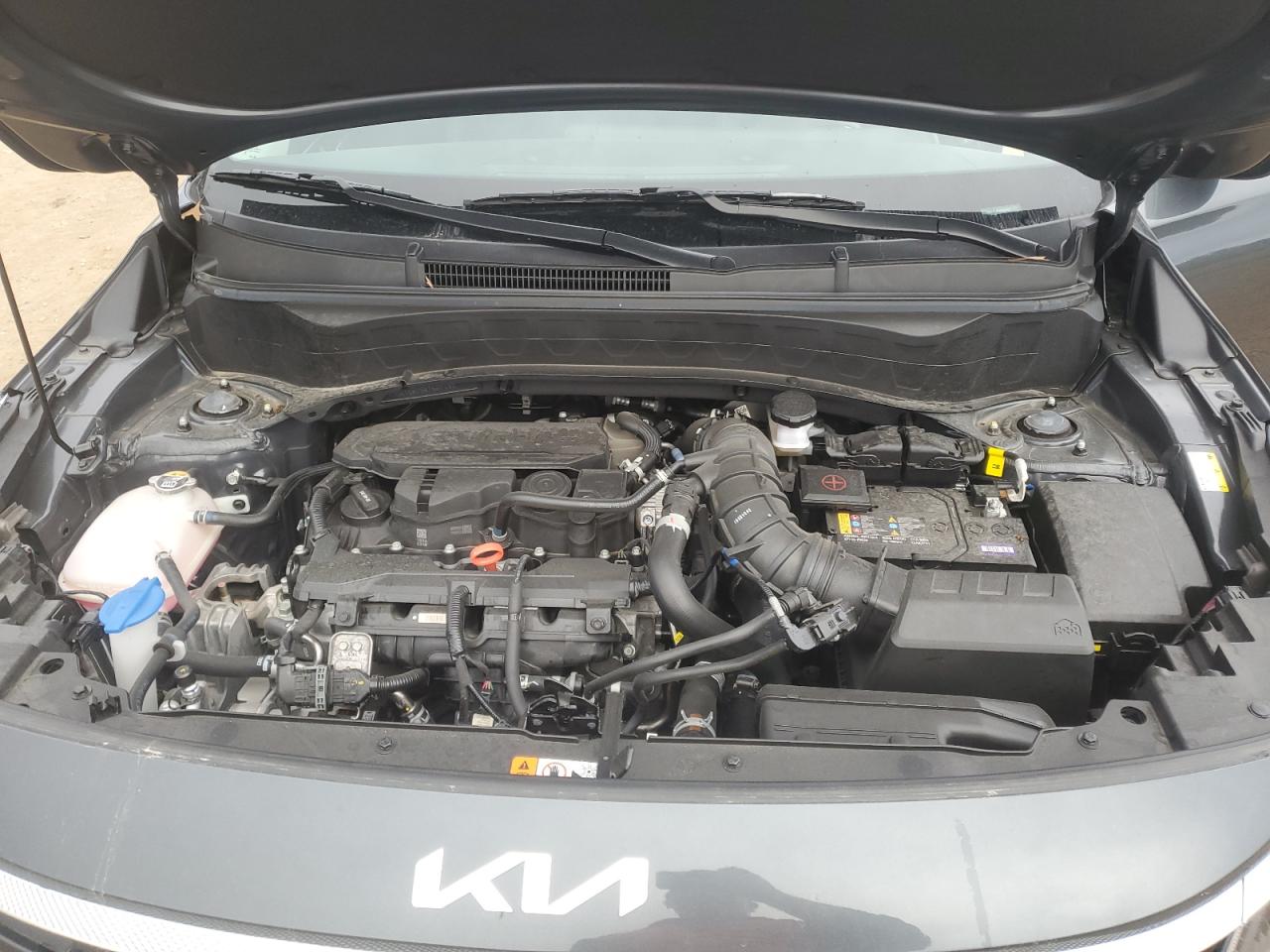 2024 Kia Seltos Sx VIN: KNDETCA75R7667192 Lot: 82477785