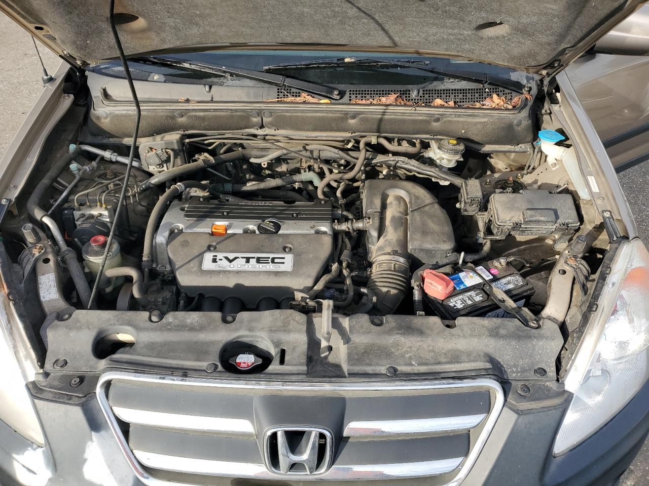 2005 Honda Cr-V Ex VIN: JHLRD78825C024310 Lot: 87129035