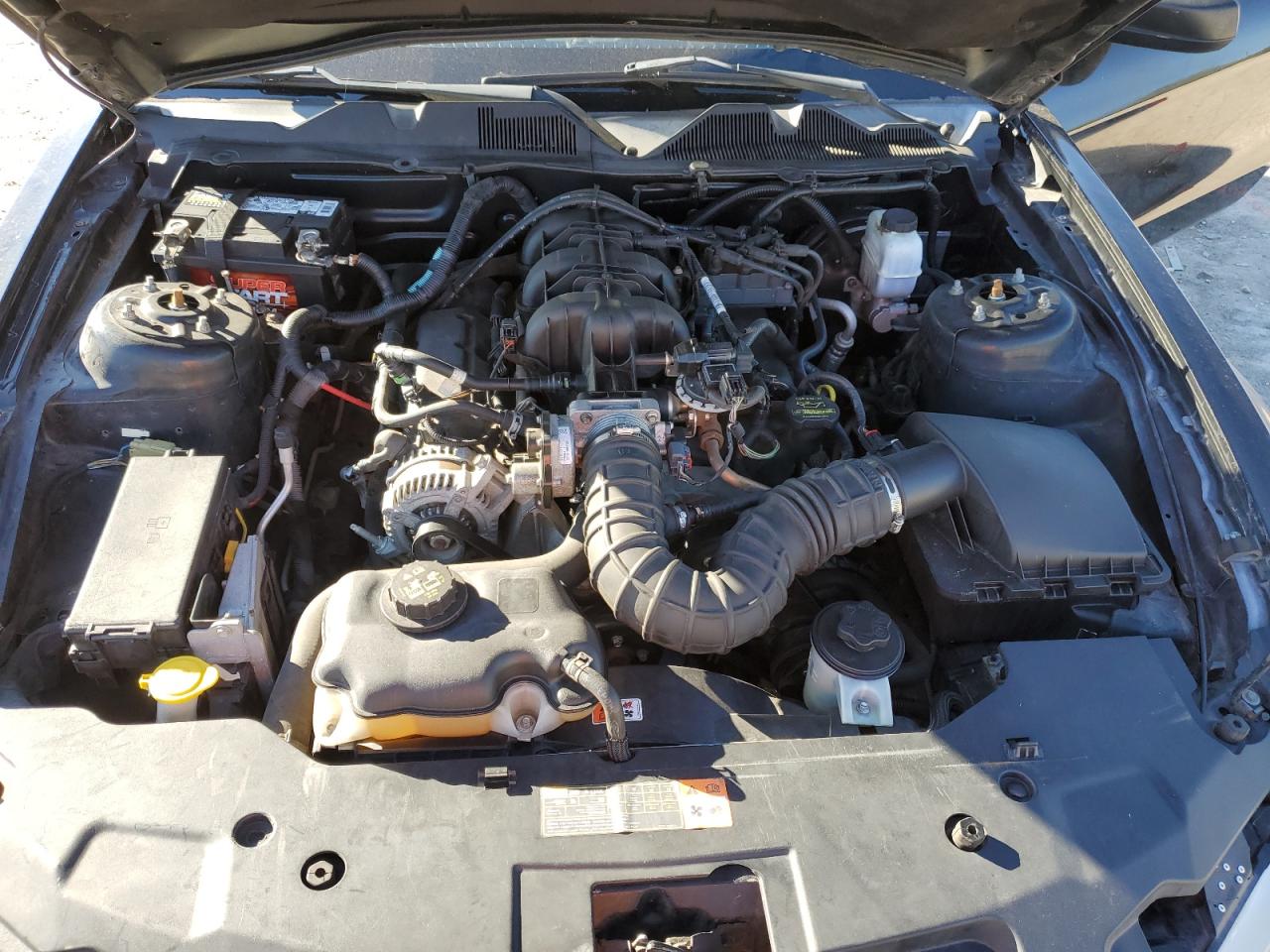 2010 Ford Mustang VIN: 1ZVBP8AN8A5156365 Lot: 86408305