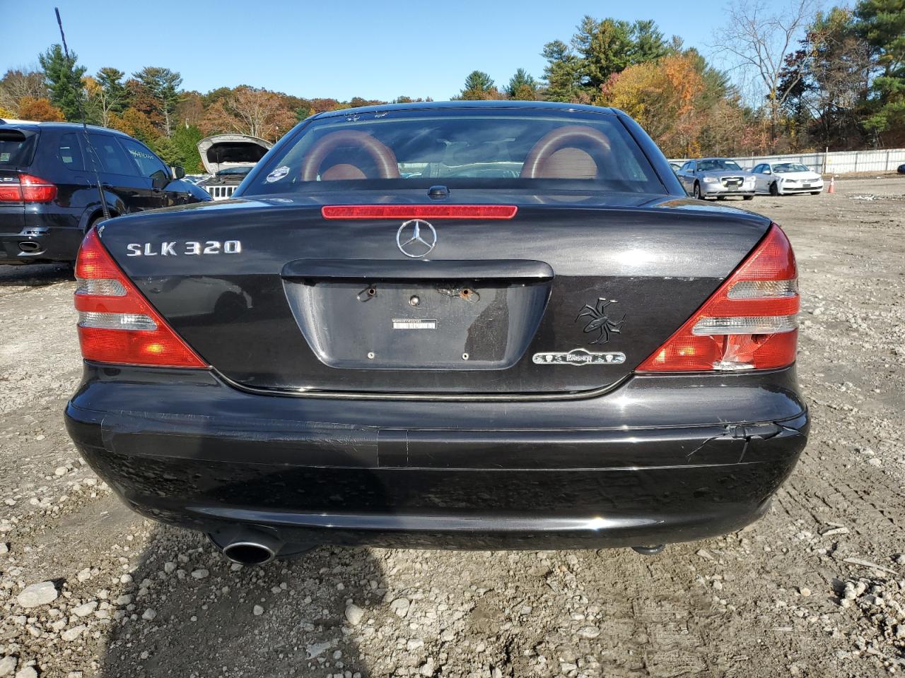 2004 Mercedes-Benz Slk 320 VIN: WDBKK65F74F307265 Lot: 85599425