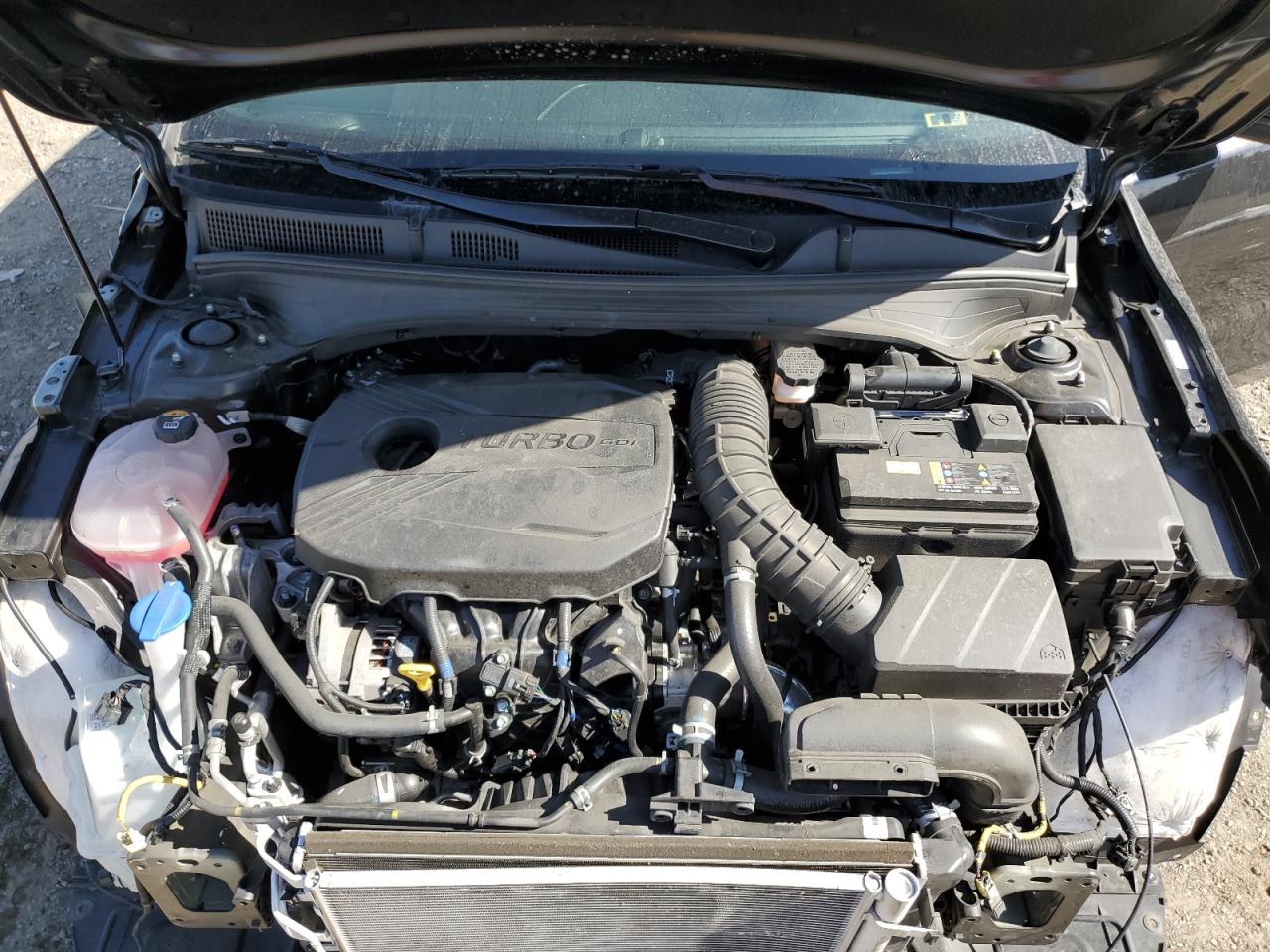 2023 Kia Forte Gt VIN: 3KPF44AC5PE640527 Lot: 82694195