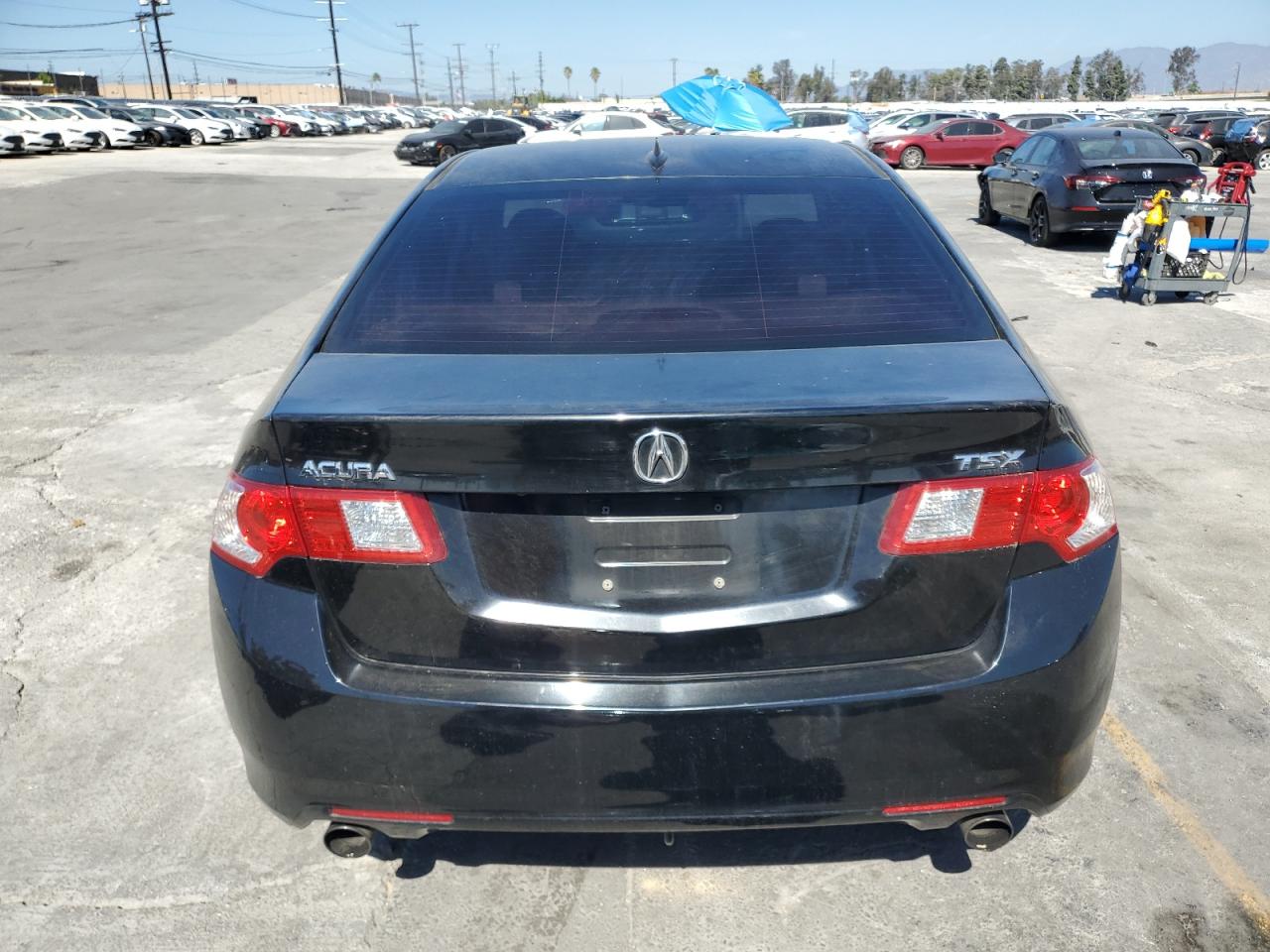 2009 Acura Tsx VIN: JH4CU26639C004126 Lot: 84420115