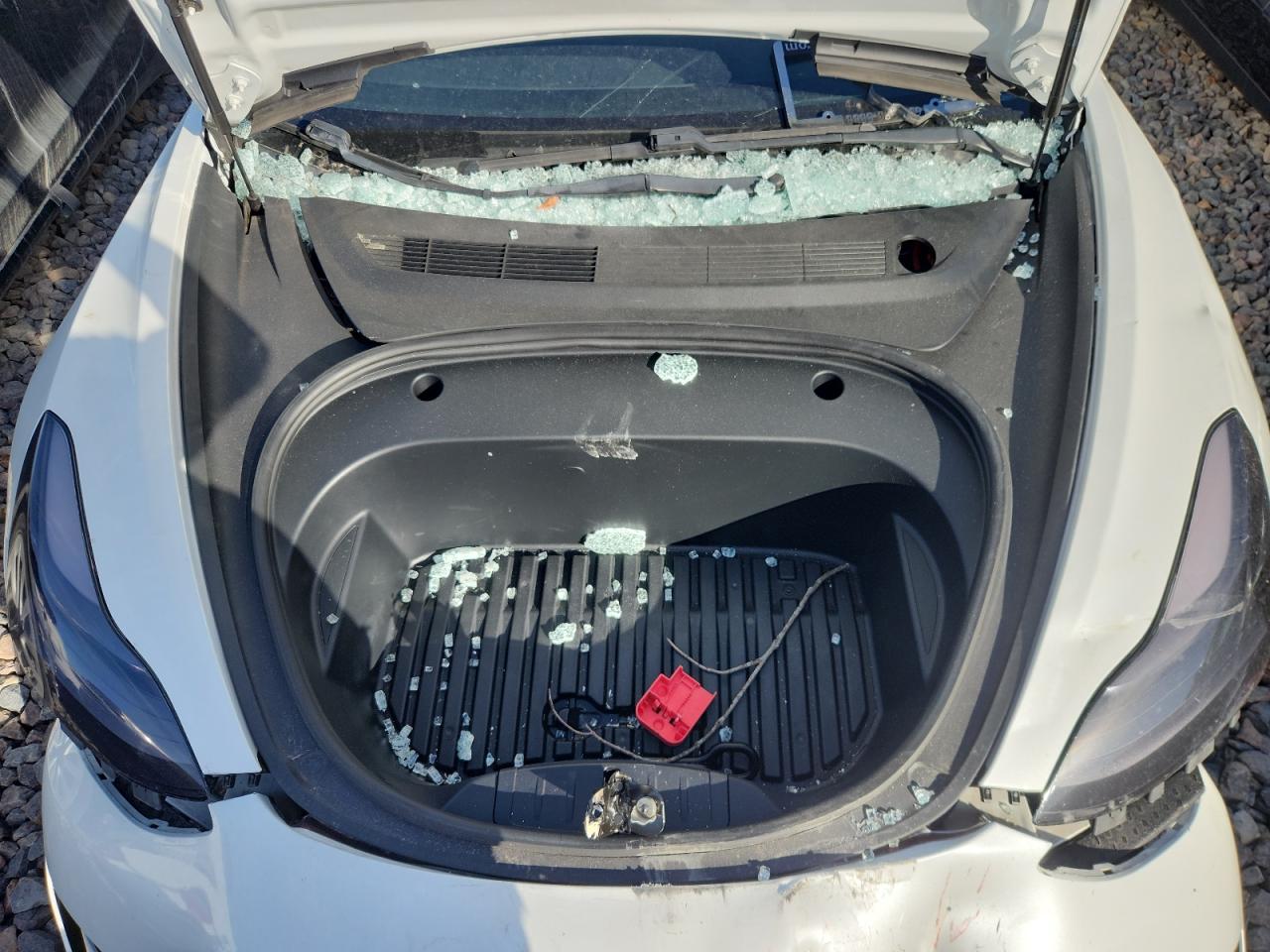 2021 Tesla Model 3 VIN: 5YJ3E1EC3MF025781 Lot: 85923965