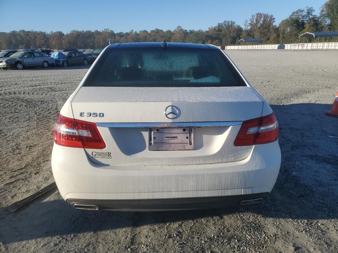 2010 Mercedes-Benz E 350 VIN: WDDHF5GBXAA028332 Lot: 82383785