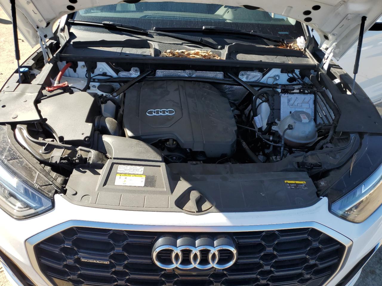 2023 Audi Q5 Premium Plus 45 VIN: WA1EAAFYXP2125716 Lot: 90789165