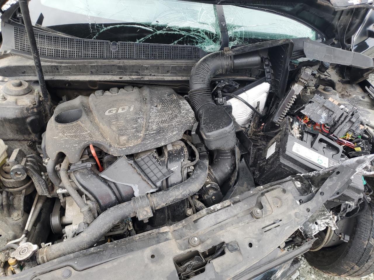 2015 Kia Optima Lx VIN: 5XXGM4A72FG508015 Lot: 81999295