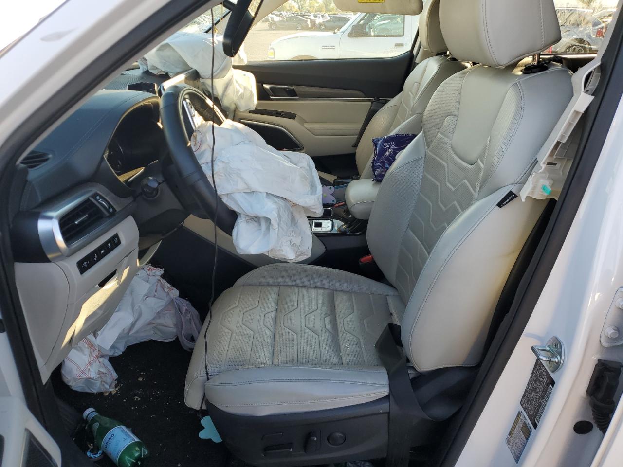 2021 Kia Telluride Sx VIN: 5XYP5DHC3MG176532 Lot: 85761785