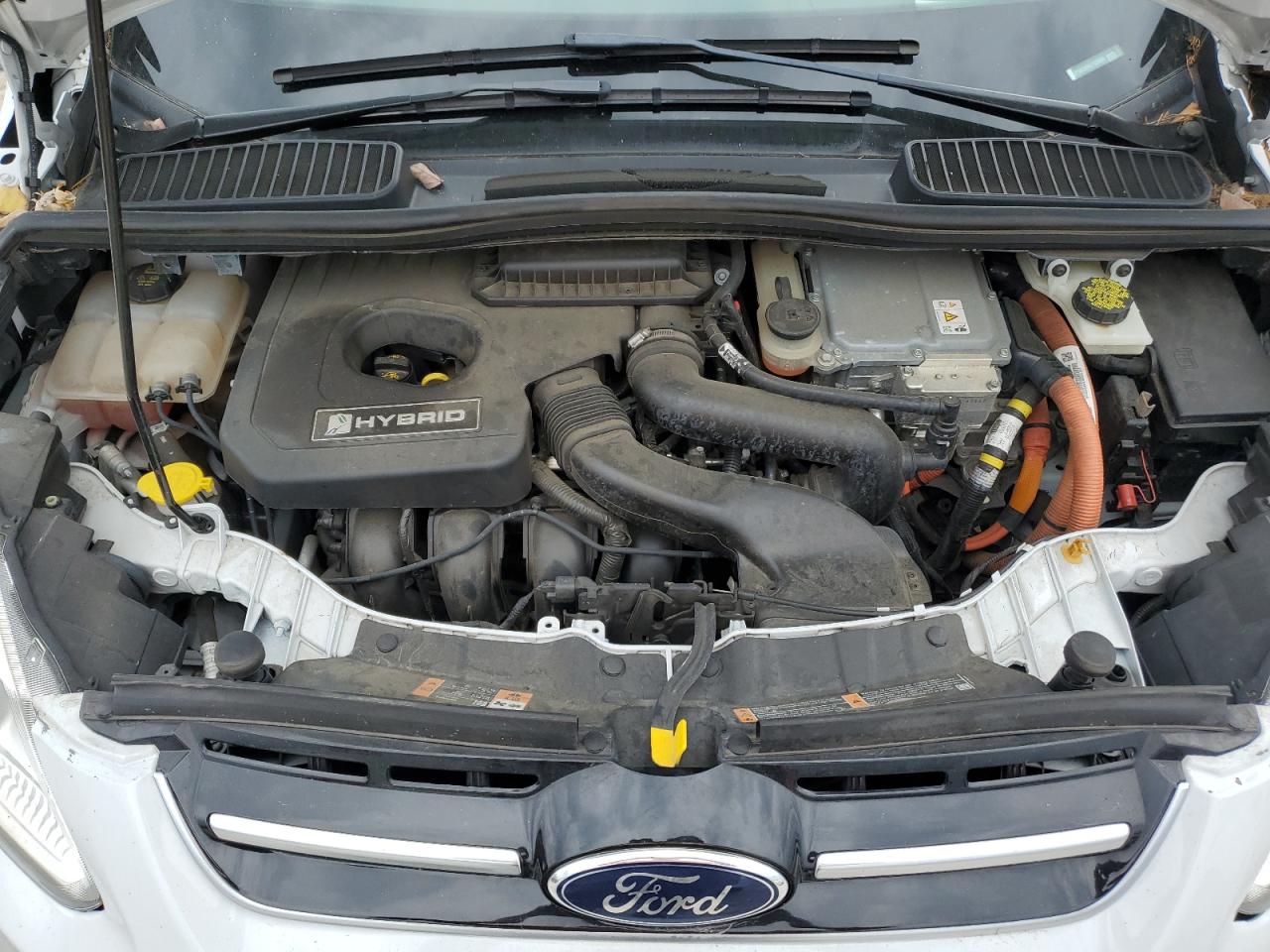 2017 Ford C-Max Se VIN: 1FADP5AU8HL103999 Lot: 81863945