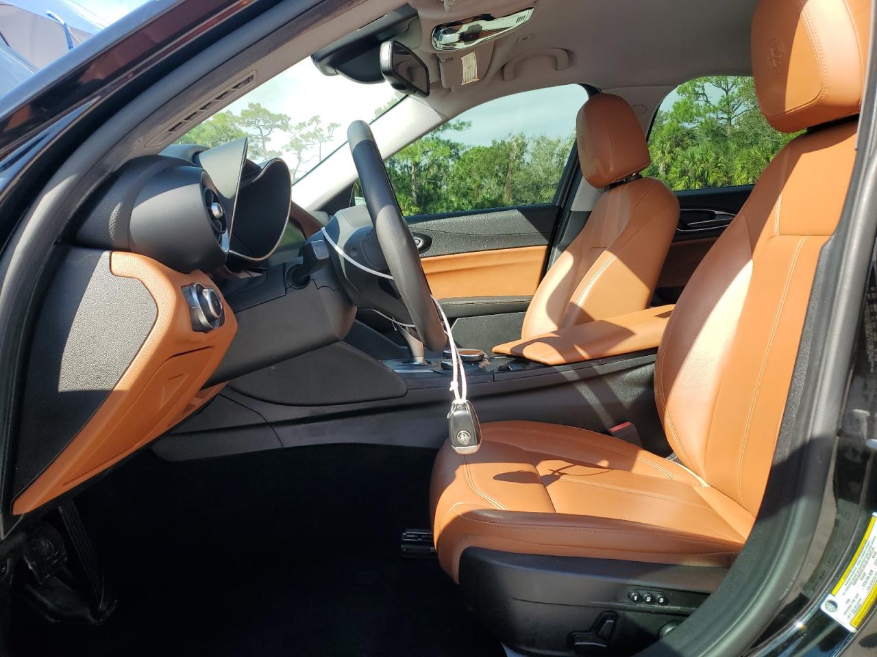 2019 Alfa Romeo Giulia VIN: ZARFAMAN8K7598220 Lot: 82758775