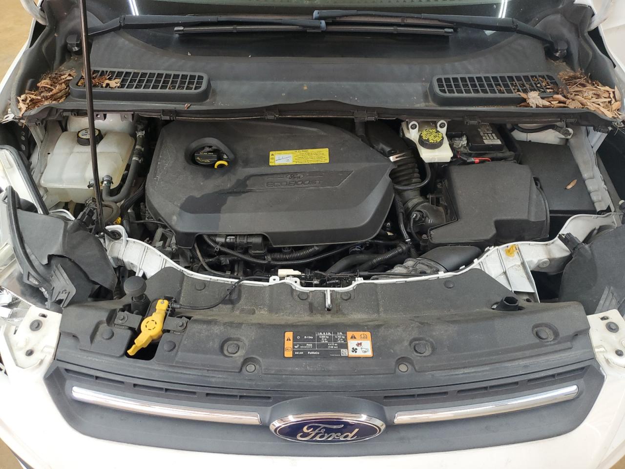 2014 Ford Escape Se VIN: 1FMCU0GX2EUB83692 Lot: 82186555