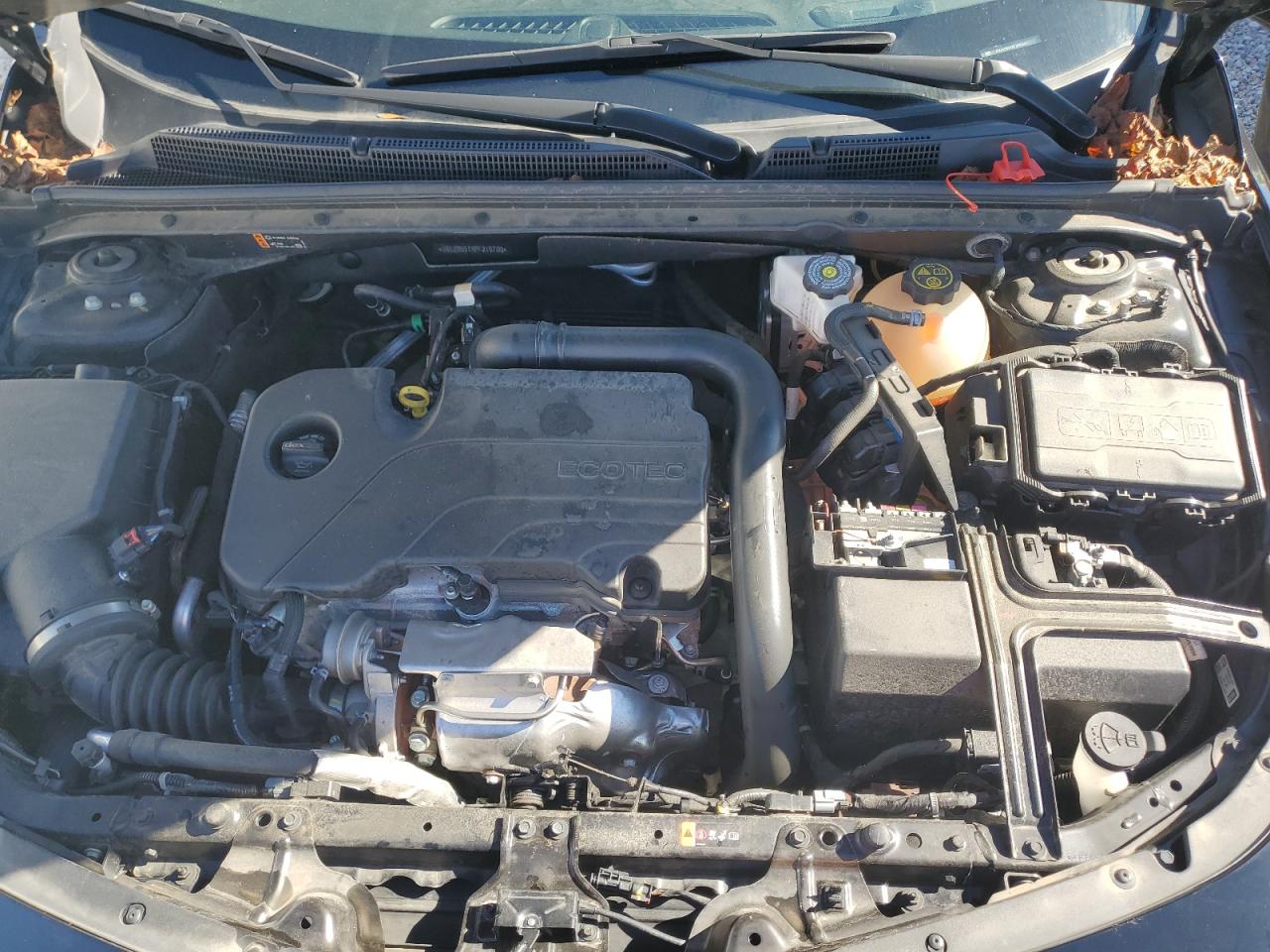 2023 Chevrolet Malibu Lt VIN: 1G1ZD5STXPF216700 Lot: 84064305