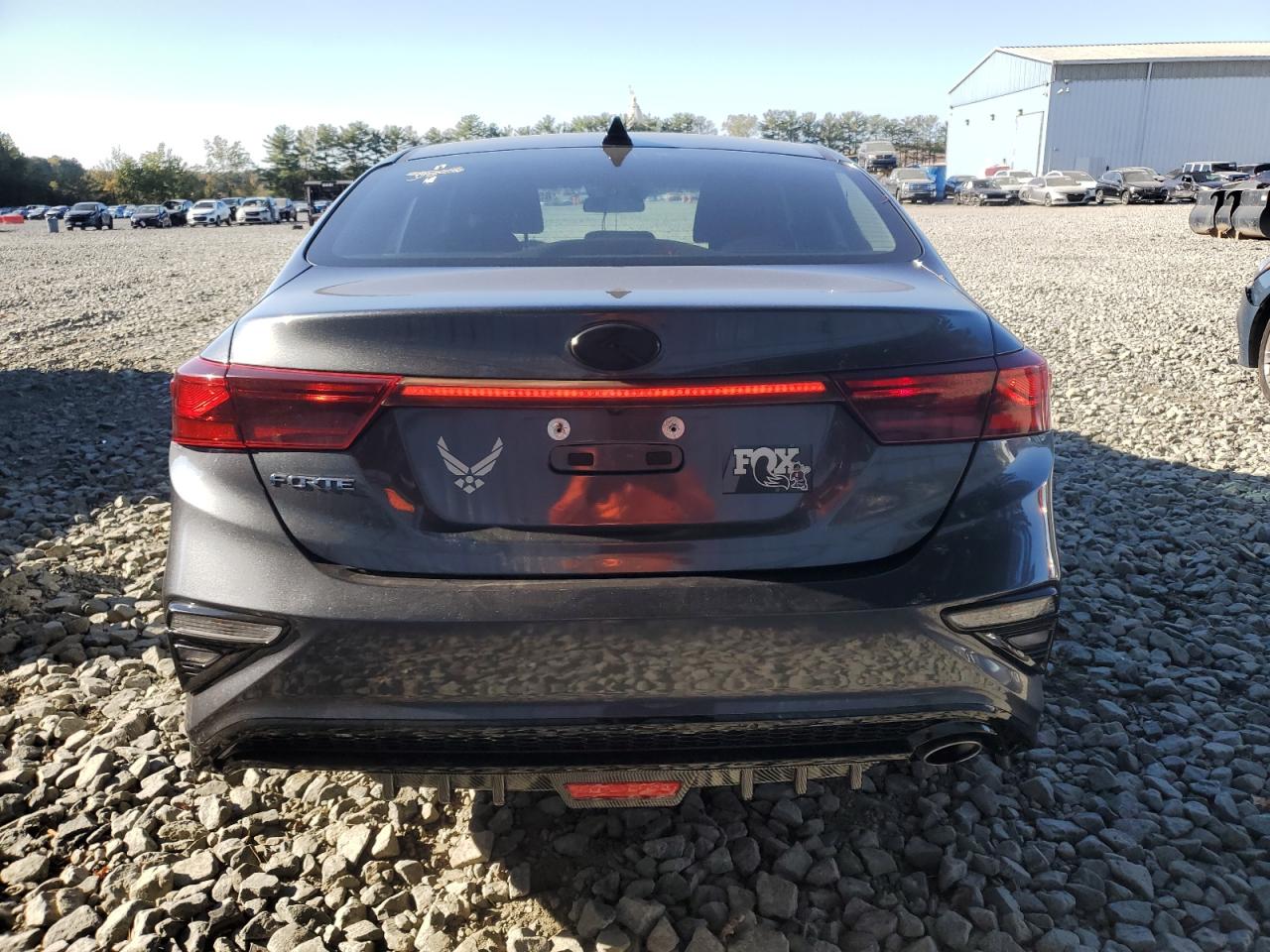 2020 Kia Forte Fe VIN: 3KPF24AD8LE245198 Lot: 85103885