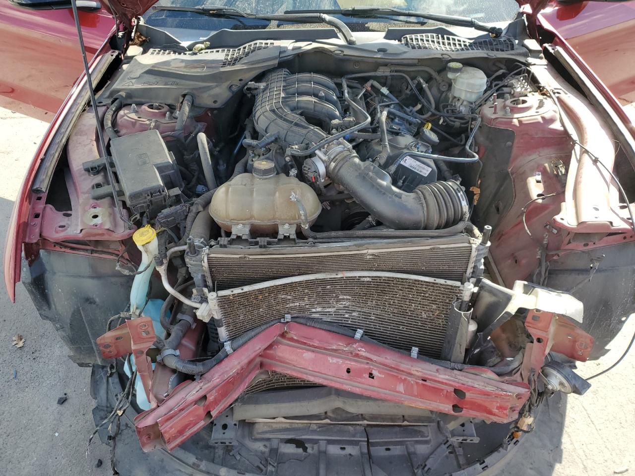 2017 Ford Mustang VIN: 1FA6P8AM0H5250736 Lot: 85929565