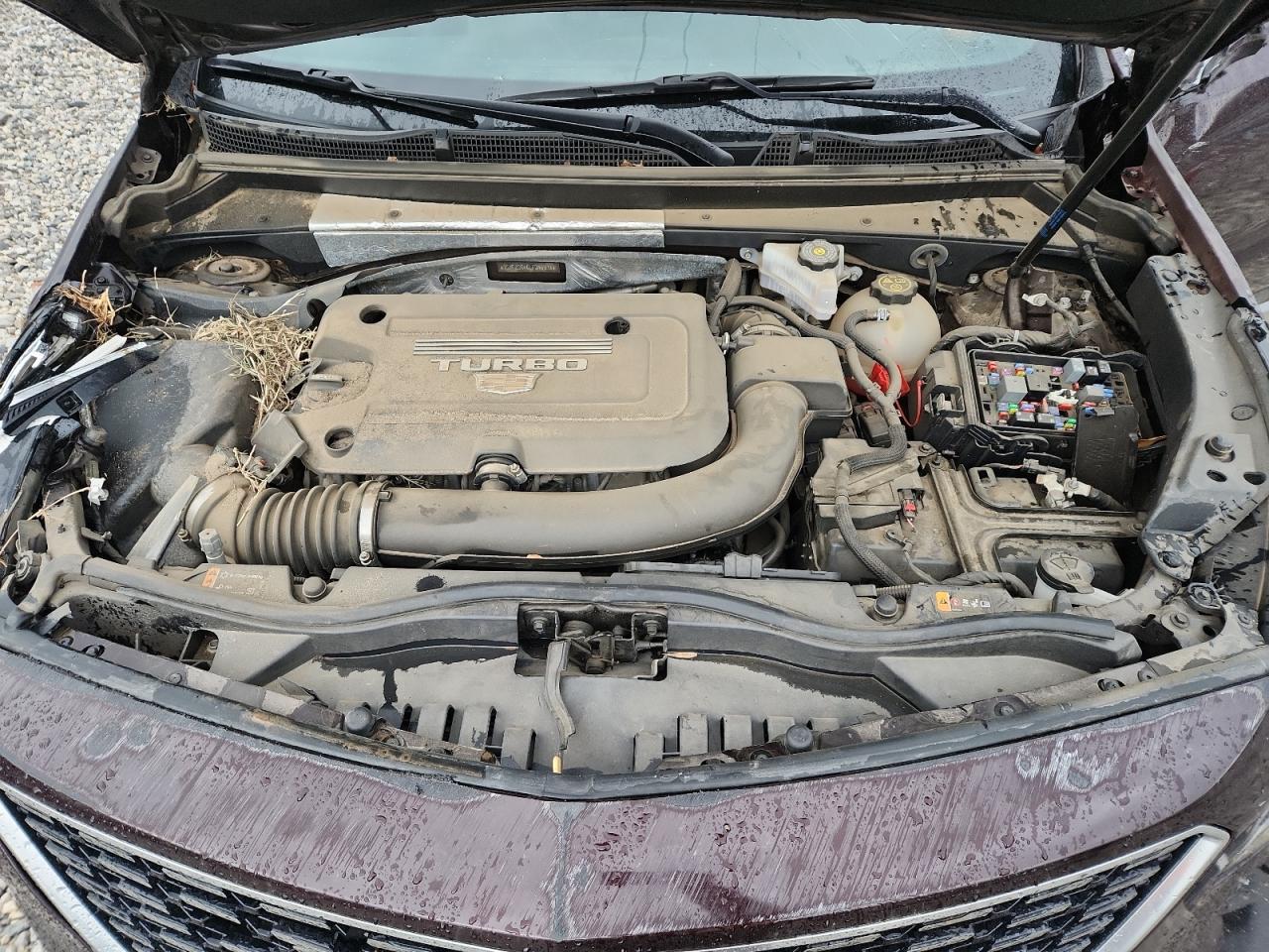 2020 Cadillac Xt4 Premium Luxury VIN: 1GYFZCR46LF046578 Lot: 82759725