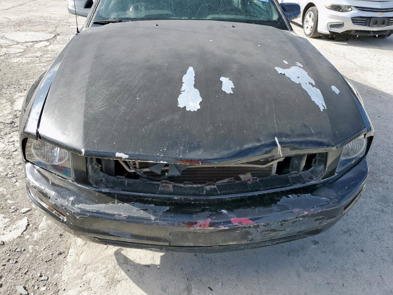 2009 Ford Mustang VIN: 1ZVHT80N495118795 Lot: 85481785