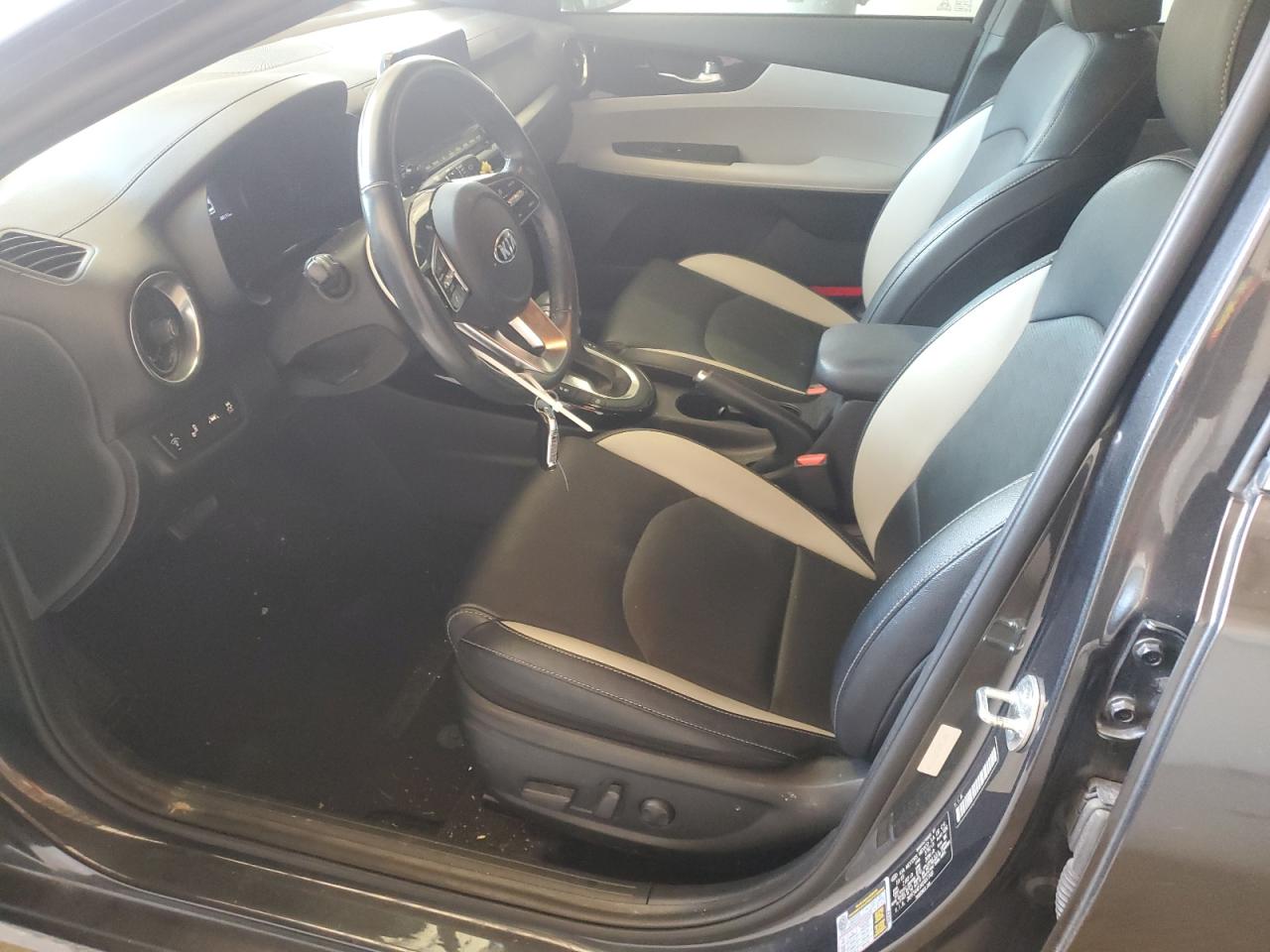 2019 Kia Forte Ex VIN: 3KPF54AD1KE037749 Lot: 85859405