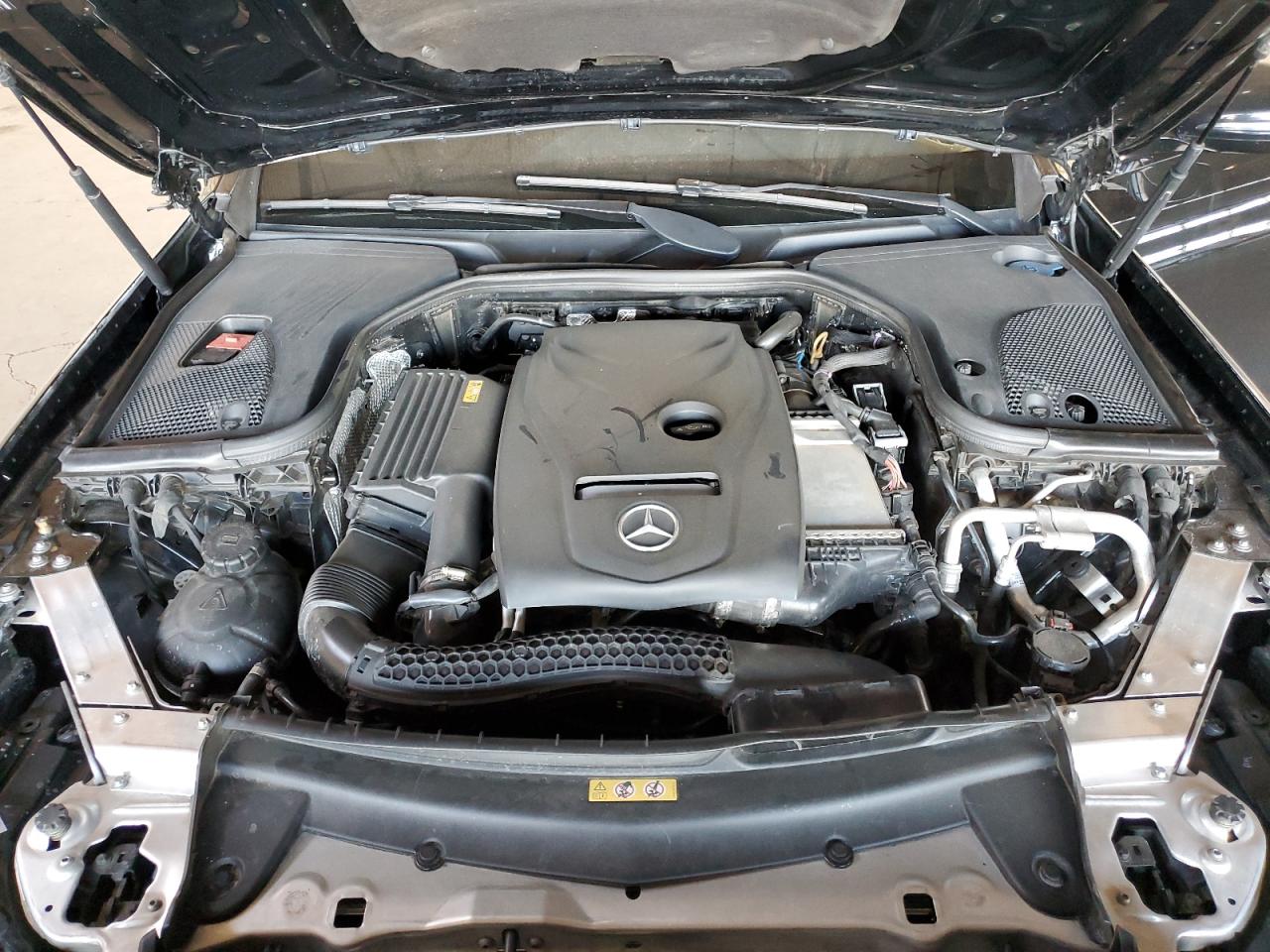 V (W213, S213, C238) V (W213, S213, C238)