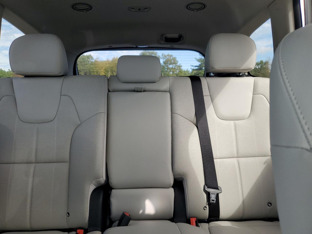 2022 Kia Telluride Ex VIN: 5XYP3DHC6NG210938 Lot: 85291725