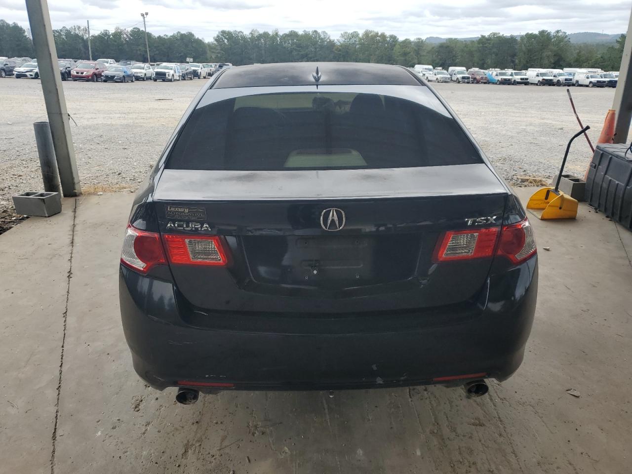 2009 Acura Tsx VIN: JH4CU26619C030157 Lot: 81972765