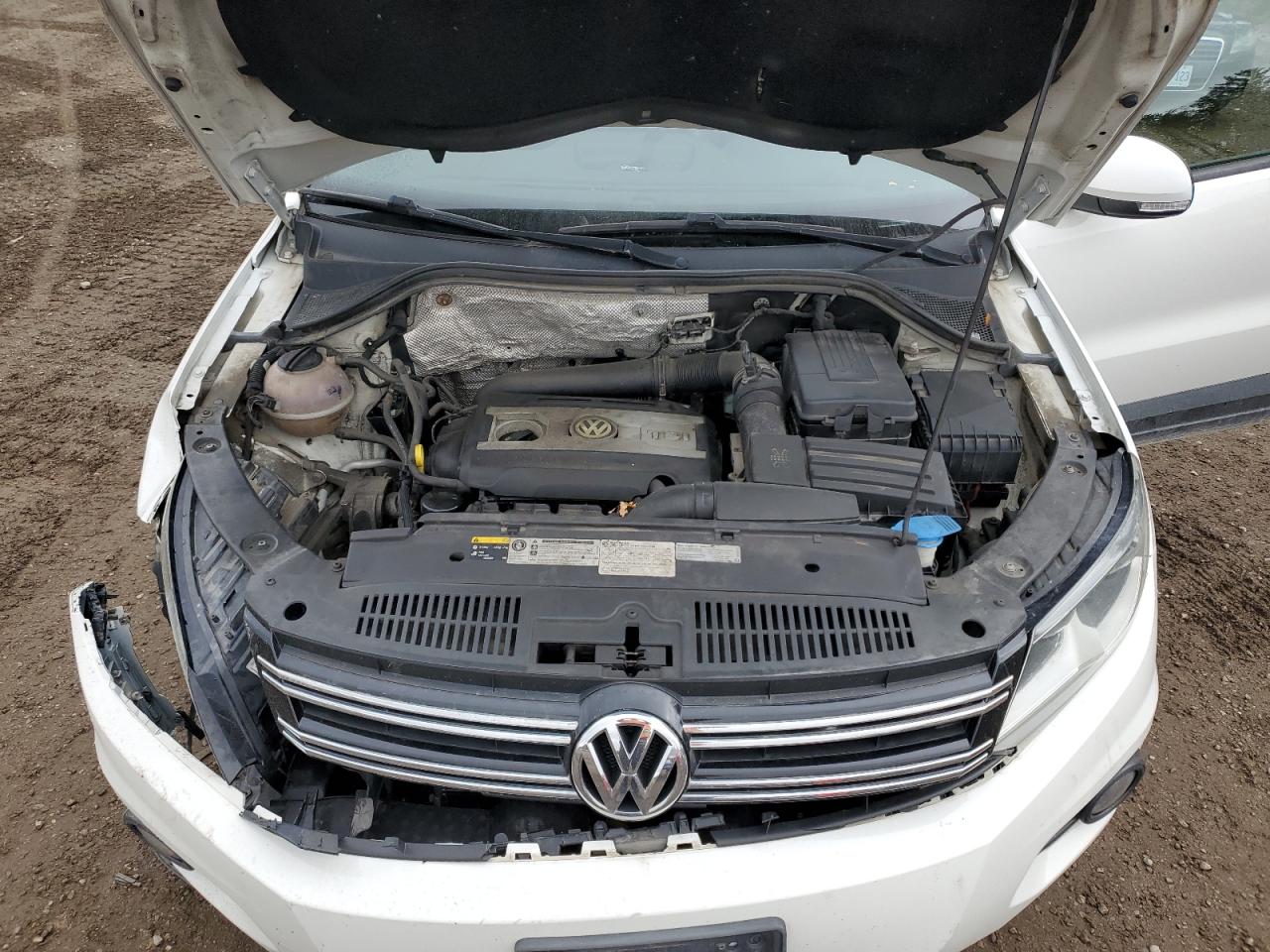 2014 Volkswagen Tiguan S VIN: WVGHV3AX4EW541246 Lot: 84408375