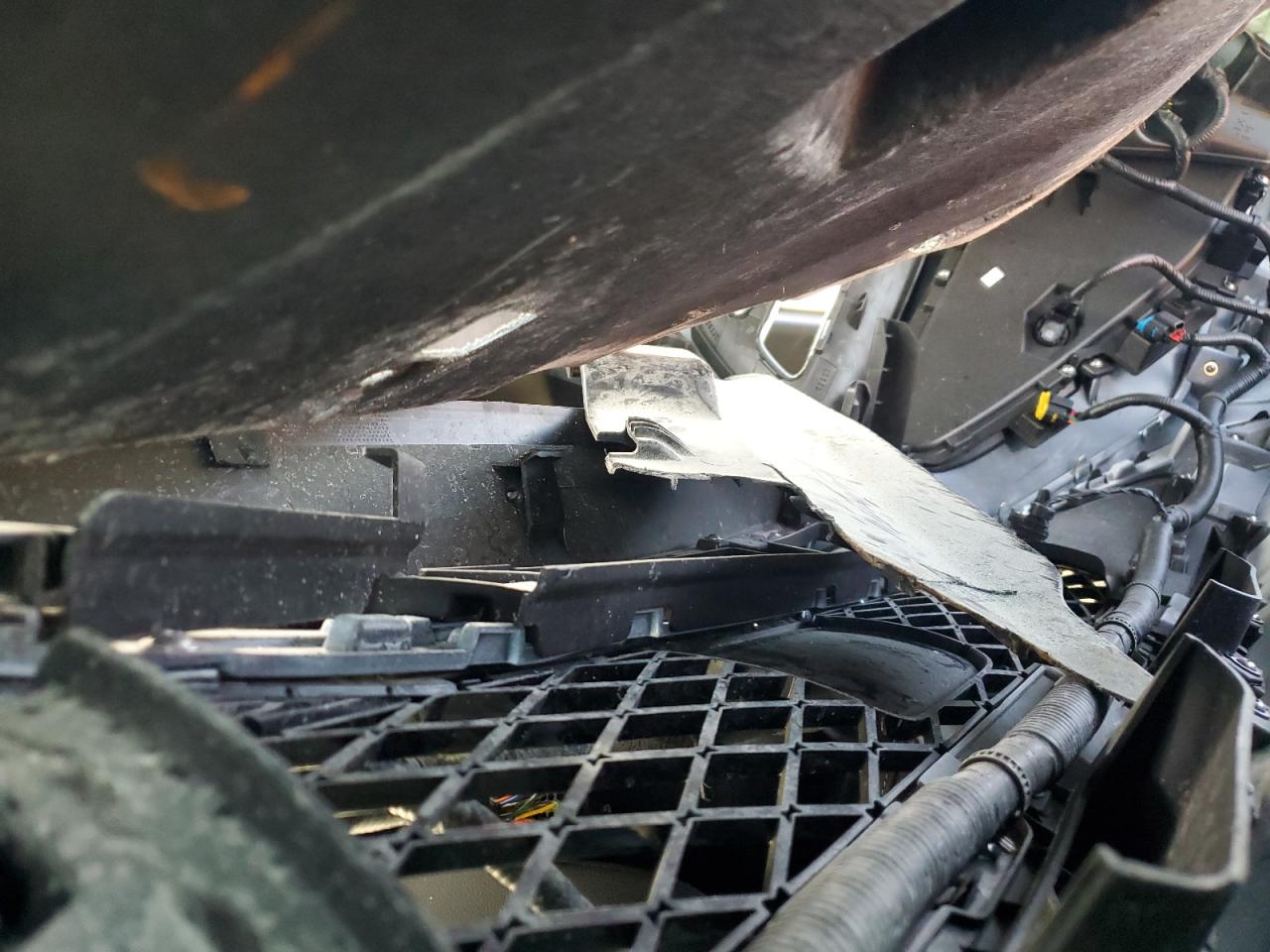 2025 Genesis Gv80 Prestige VIN: KMUHCESBXSU275177 Lot: 81939195