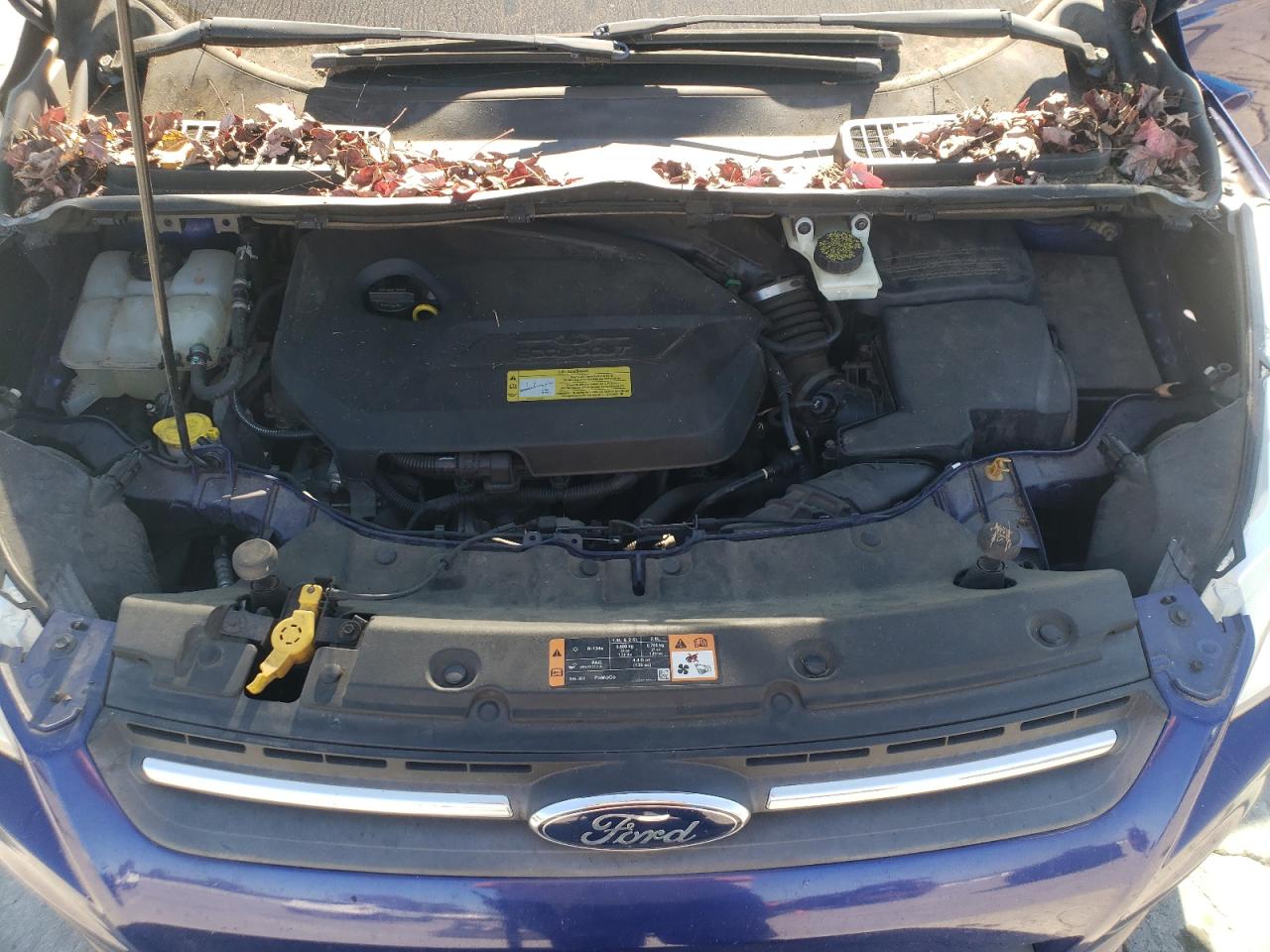 2014 Ford Escape Se VIN: 1FMCU0GX1EUC07674 Lot: 82461475