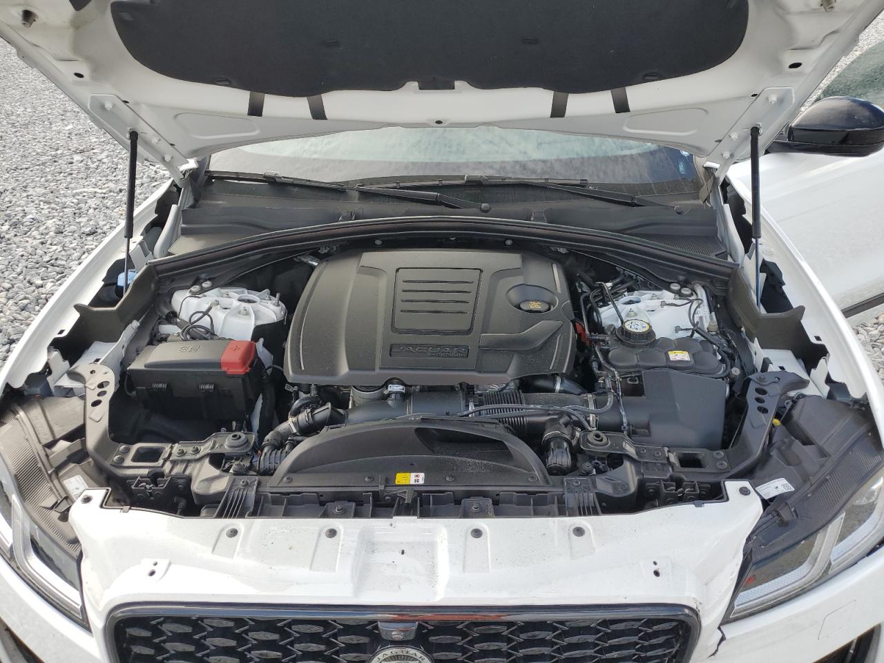 2024 Jaguar F-Pace R-Dynamic S VIN: SADCT2EX0RA726118 Lot: 90428455