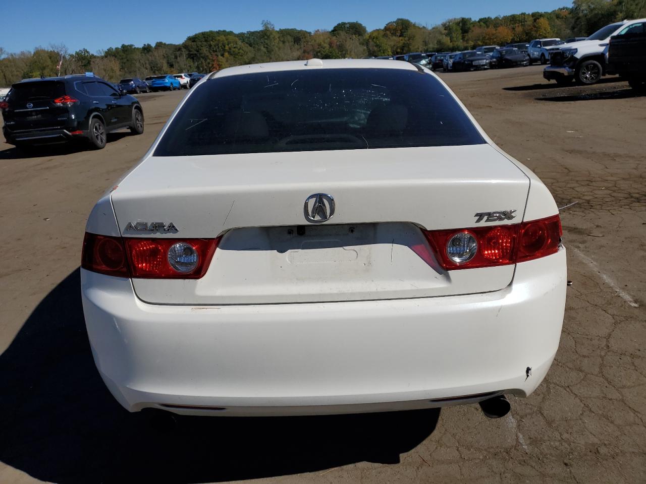 2005 Acura Tsx VIN: JH4CL96905C022387 Lot: 85889415