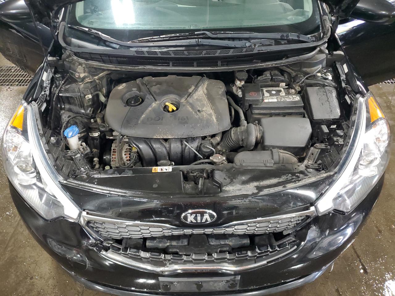 2016 Kia Forte Lx VIN: KNAFK4A69G5612982 Lot: 85005655