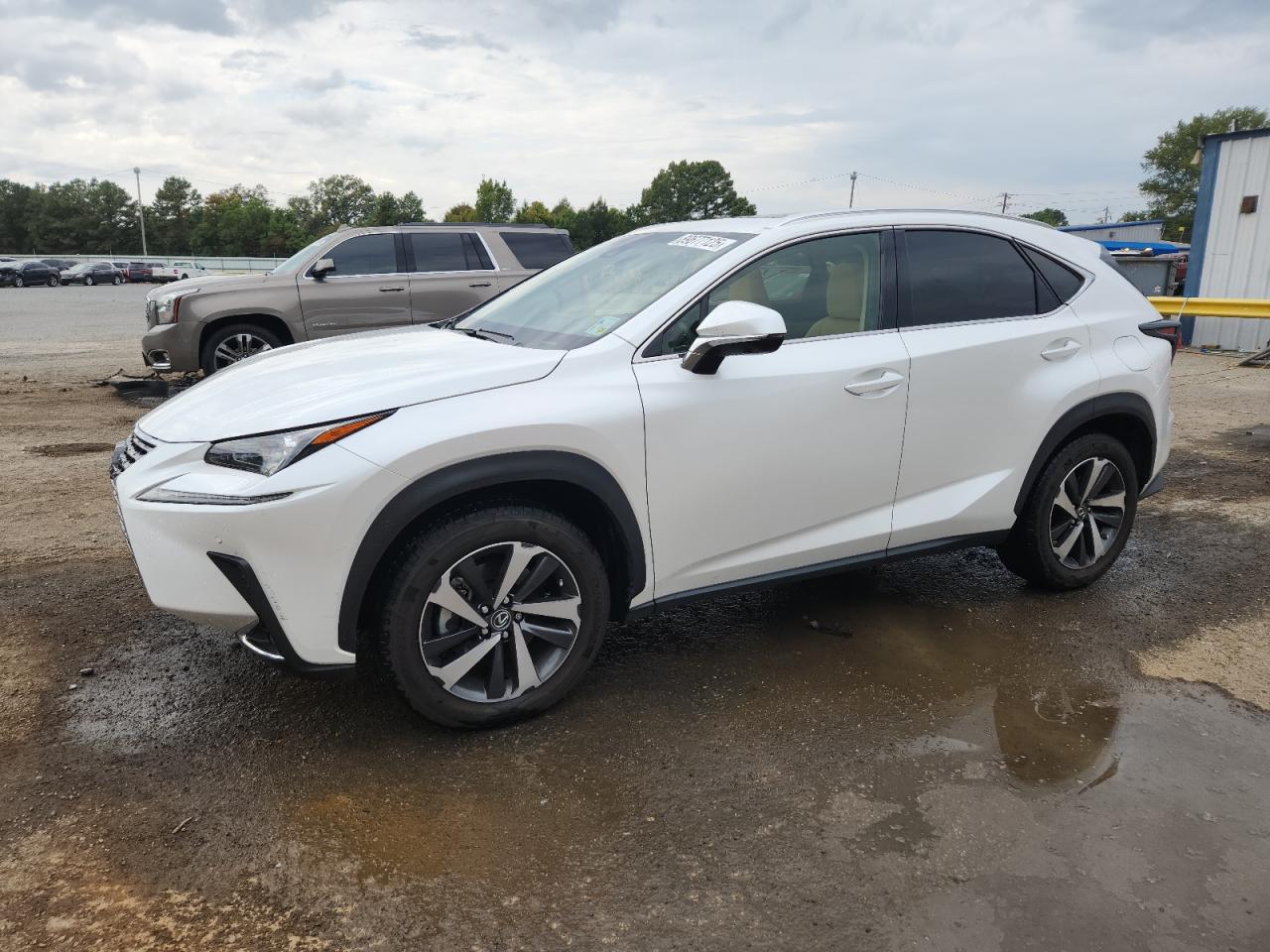 2019 Lexus Nx 300 Base