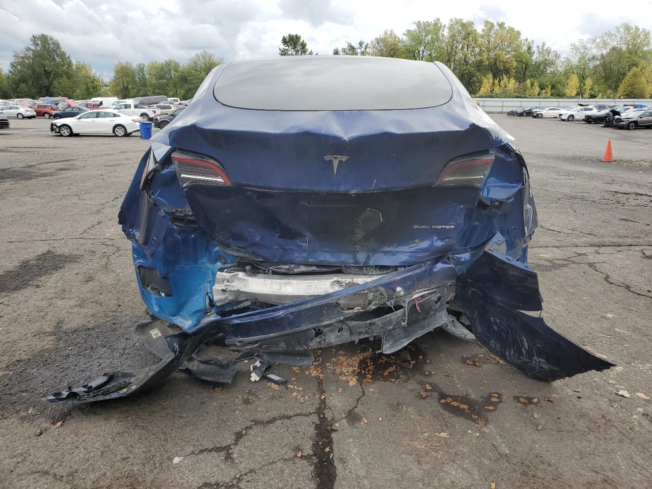 2024 Tesla Model Y VIN: 7SAYGAEE8RF985223 Lot: 86338735