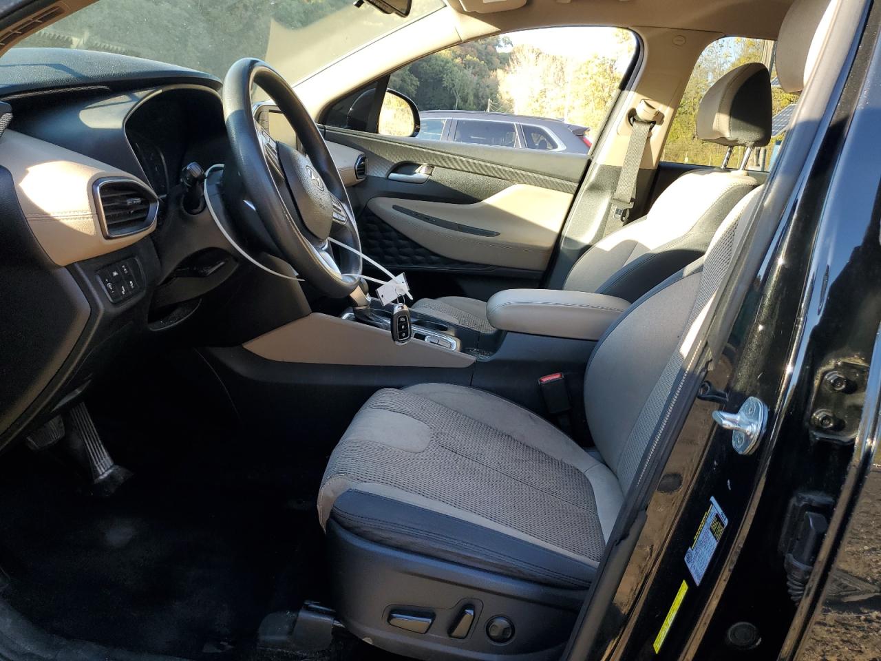 2020 Hyundai Santa Fe Sel VIN: 5NMS3CAD9LH181901 Lot: 85857485