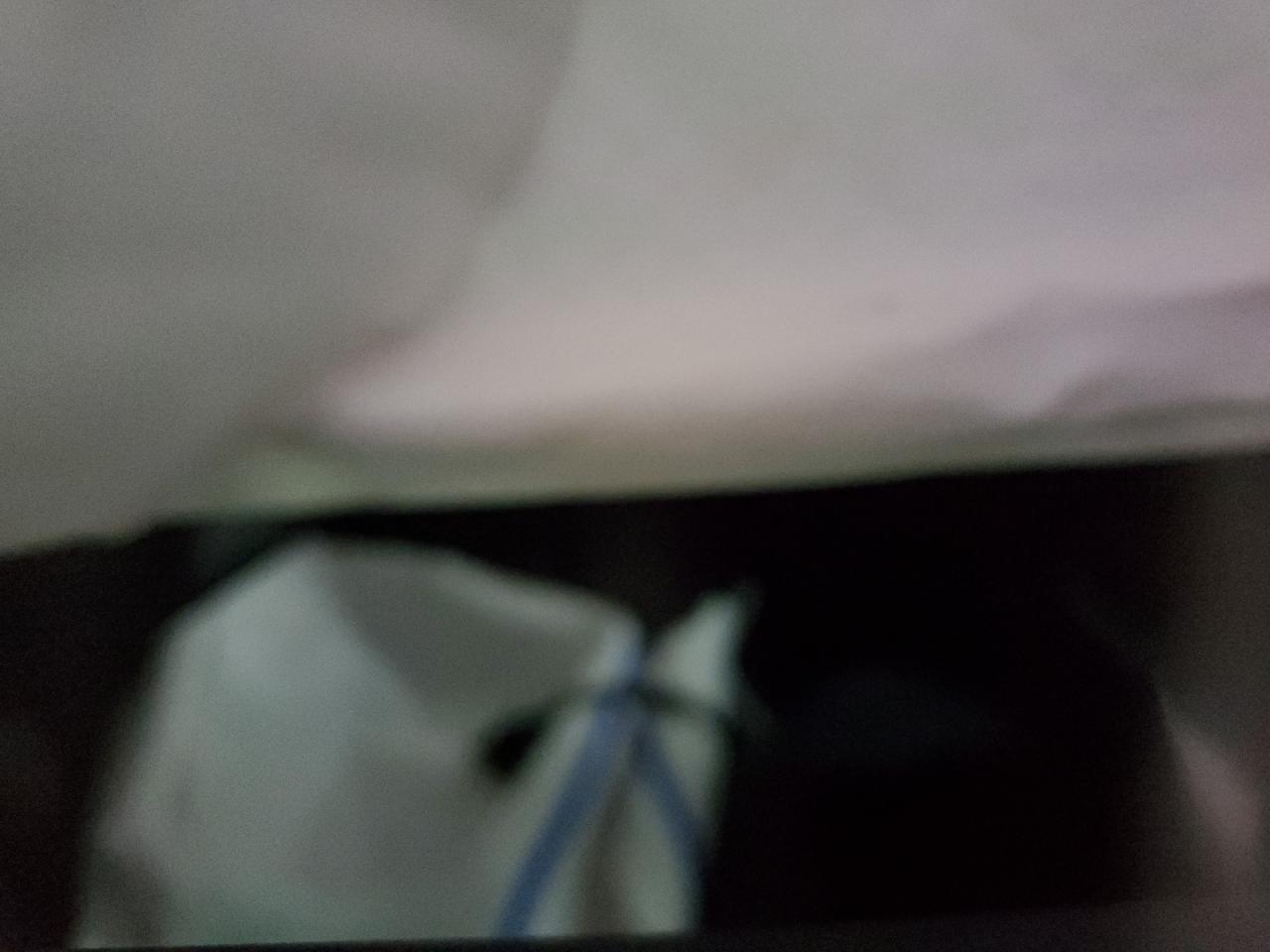 2024 Tesla Model Y VIN: 7SAYGAEE4RF154723 Lot: 81998125