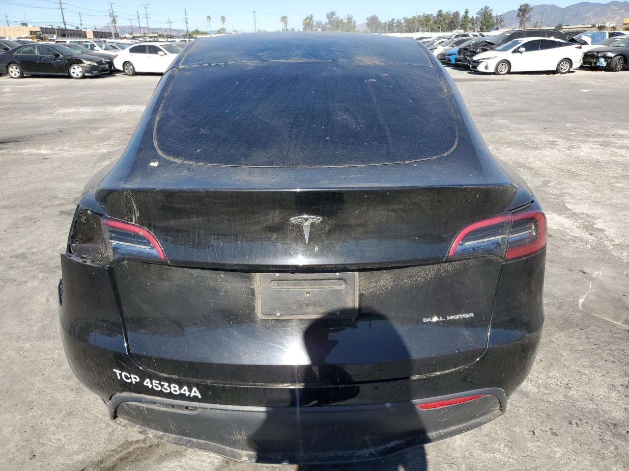2024 Tesla Model Y VIN: 7SAYGDEE2RF061958 Lot: 90514885