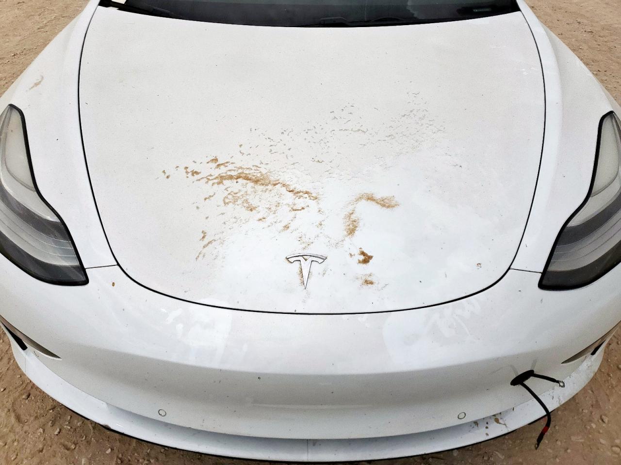 2018 Tesla Model 3 VIN: 5YJ3E1EA0JF062393 Lot: 85648285