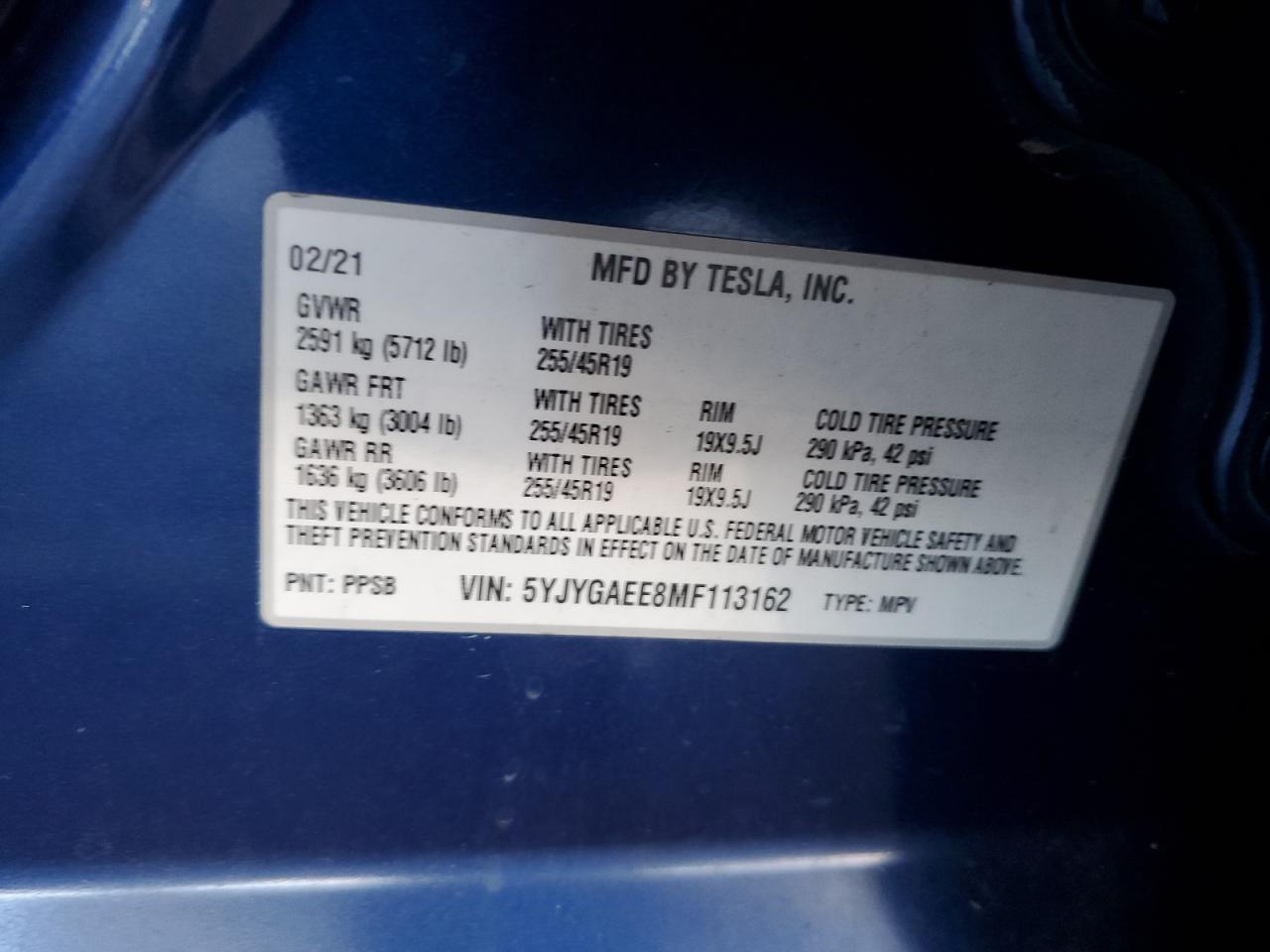 2021 Tesla Model Y VIN: 5YJYGAEE8MF113162 Lot: 90383005