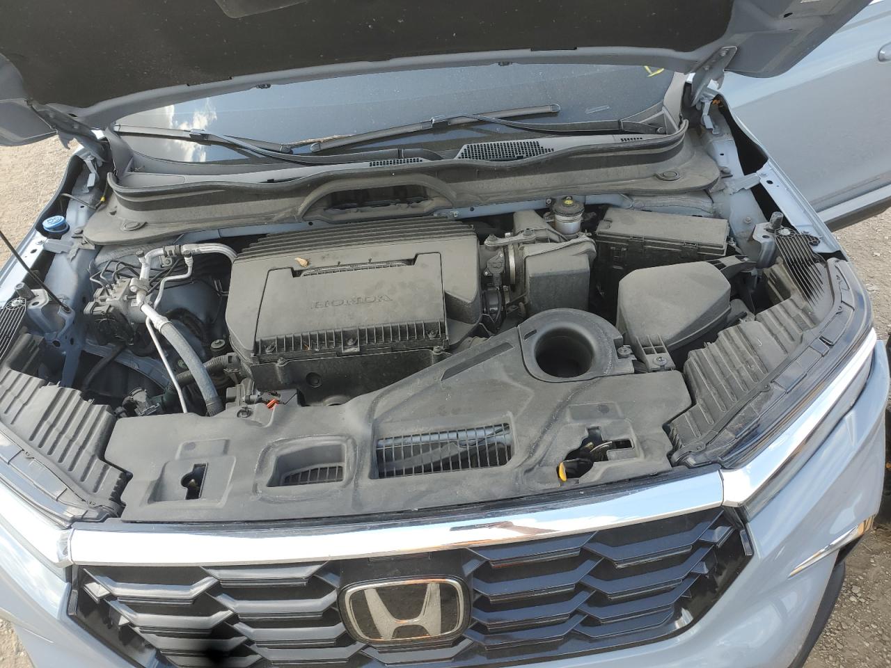 2024 Honda Pilot Touring VIN: 5FNYG1H74RB016710 Lot: 81991415