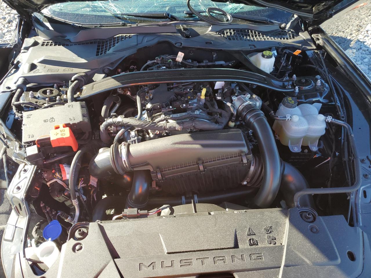 2025 Ford Mustang VIN: 1FAGP8UH8S5123369 Lot: 86650815