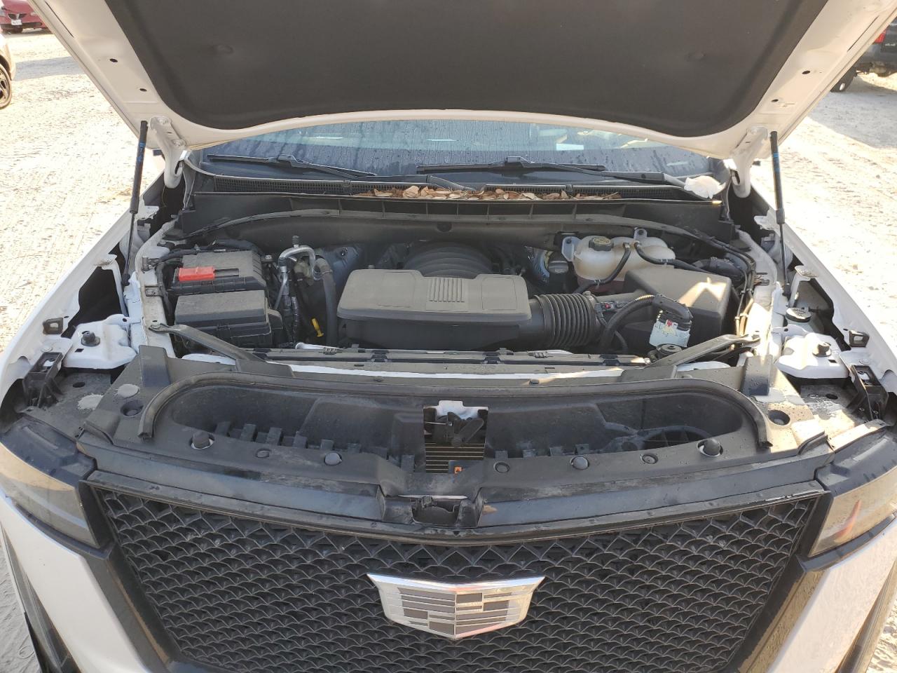 2023 Cadillac Escalade Sport Platinum VIN: 1GYS4GKL0PR496608 Lot: 87445275