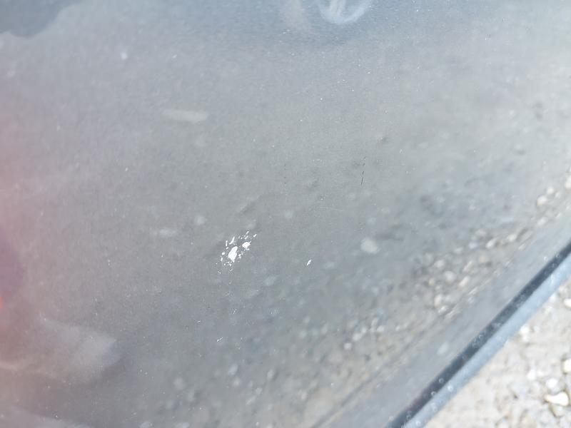 2019 NISSAN JUKE 1.6 [112] BOSE PERSONAL EDITION 5DR