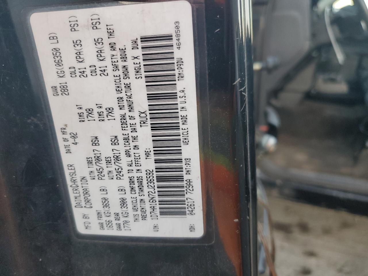 2002 Dodge Ram 1500 VIN: 1D7HA16N72J236592 Lot: 84452795