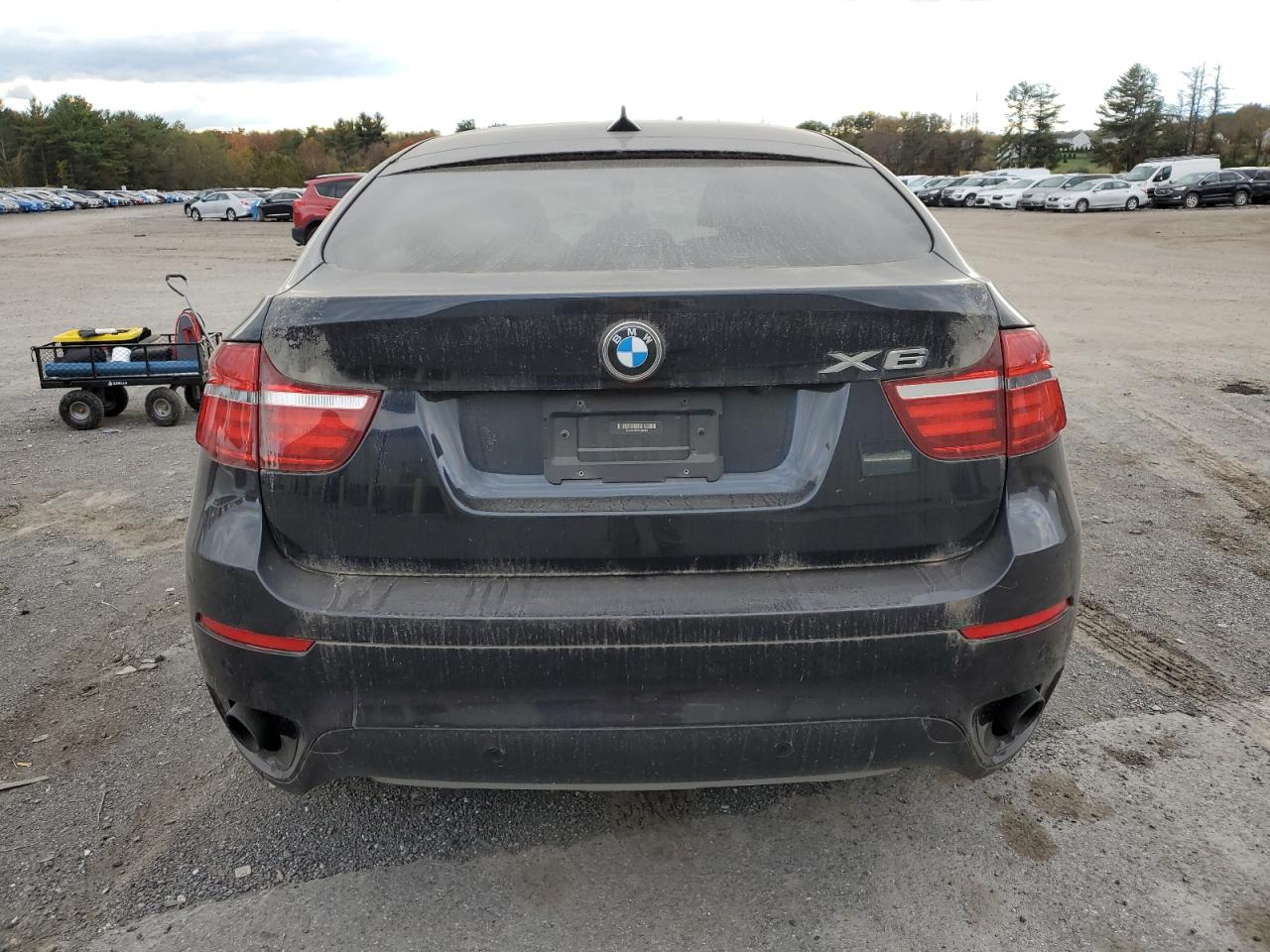 2013 BMW X6 xDrive35I VIN: 5UXFG2C57DL784169 Lot: 87063515