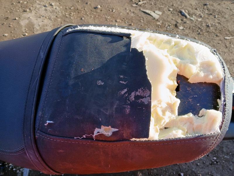 2019 YAMAHA XSR 900 ABS MTM 850 