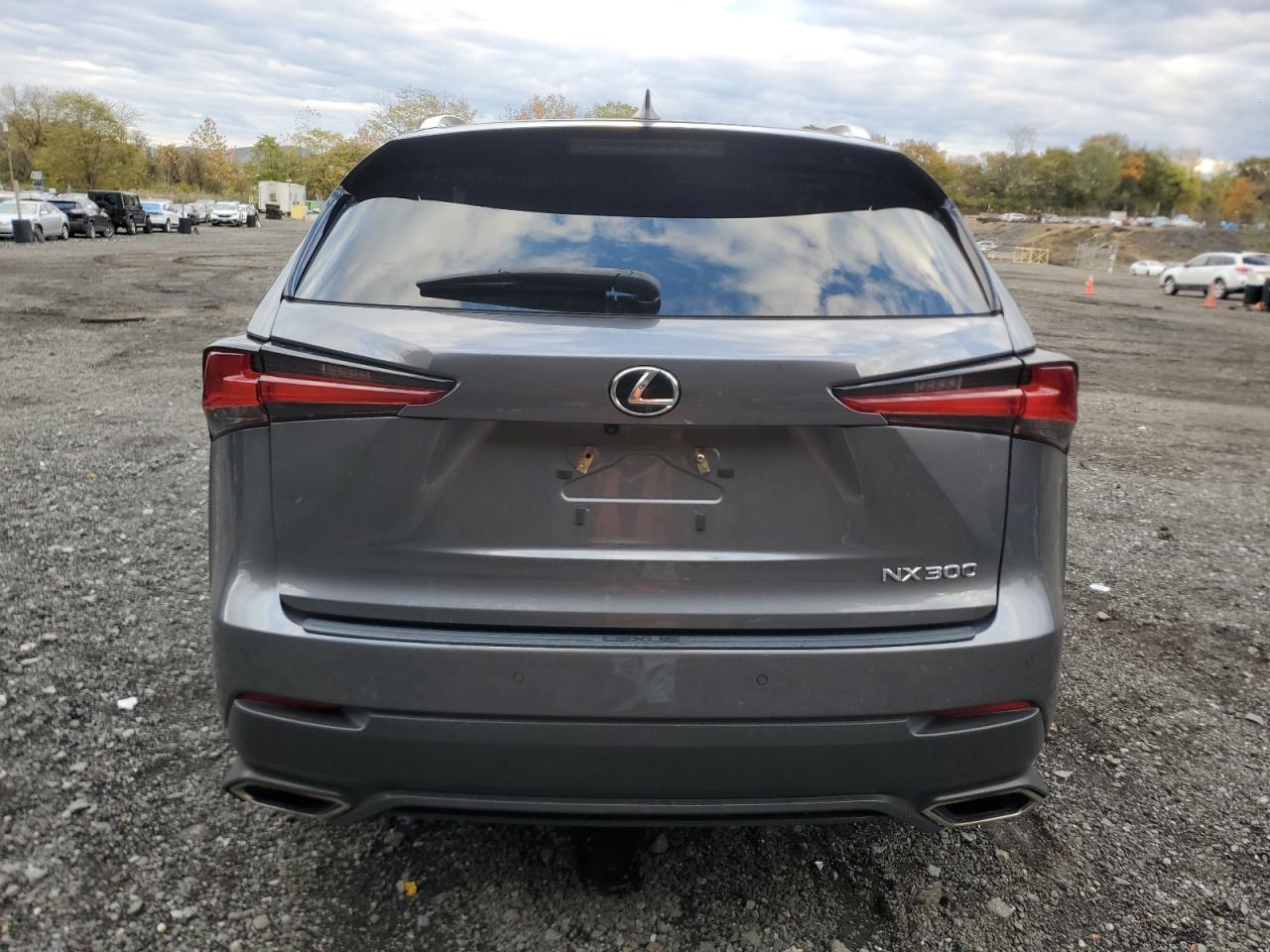 2020 Lexus Nx 300 VIN: JTJDARDZ5L2226374 Lot: 87291525