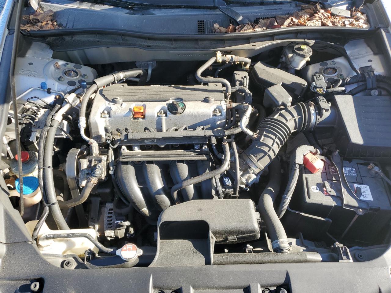 2010 Honda Accord Lx VIN: 1HGCP2F32AA097690 Lot: 85697355