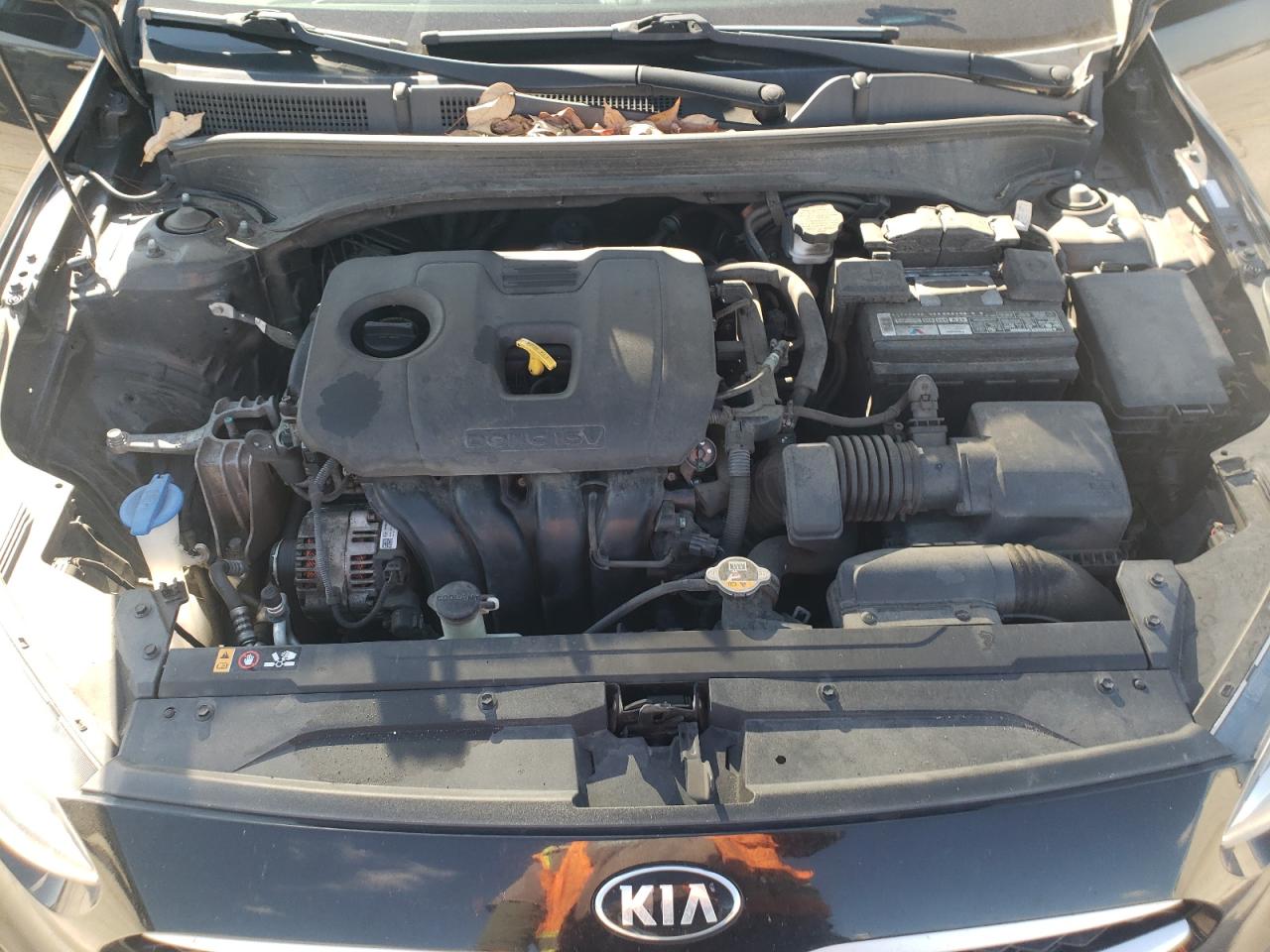 2020 Kia Forte Fe VIN: 3KPF24ADXLE220075 Lot: 91173585