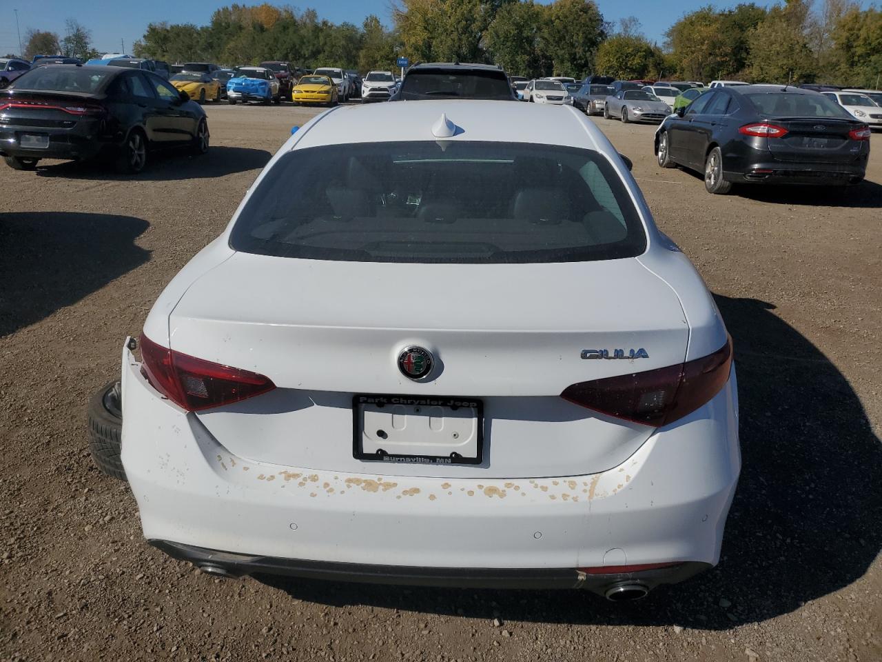 2018 Alfa Romeo Giulia VIN: ZARFAEBN4J7565010 Lot: 82674385