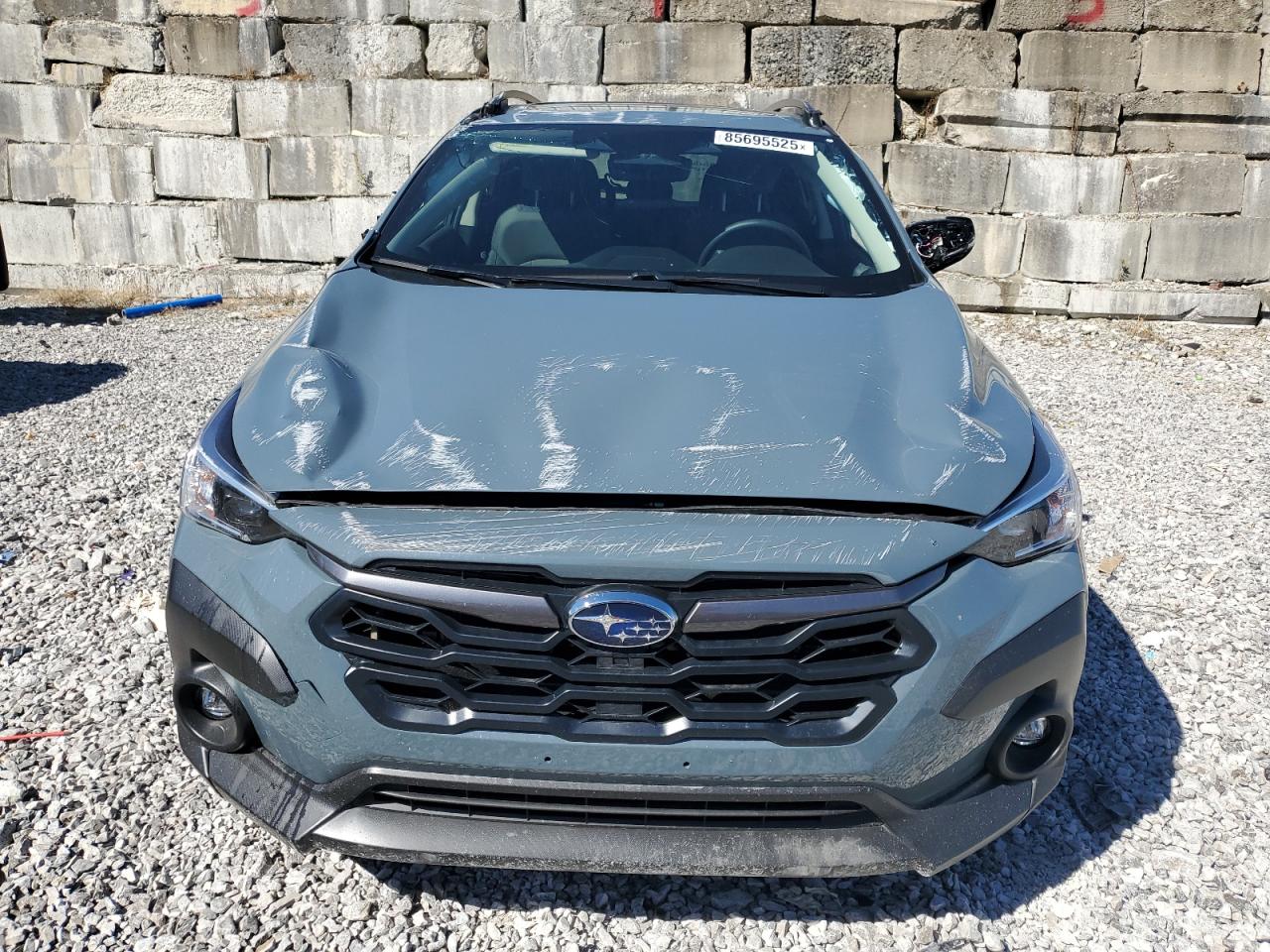 XV XV