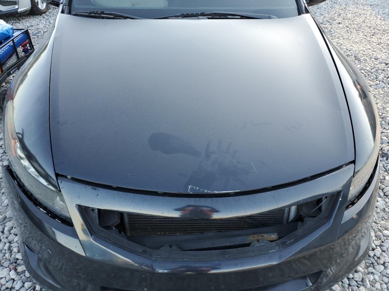 2010 Honda Accord Exl VIN: 1HGCS2B8XAA004396 Lot: 85080905